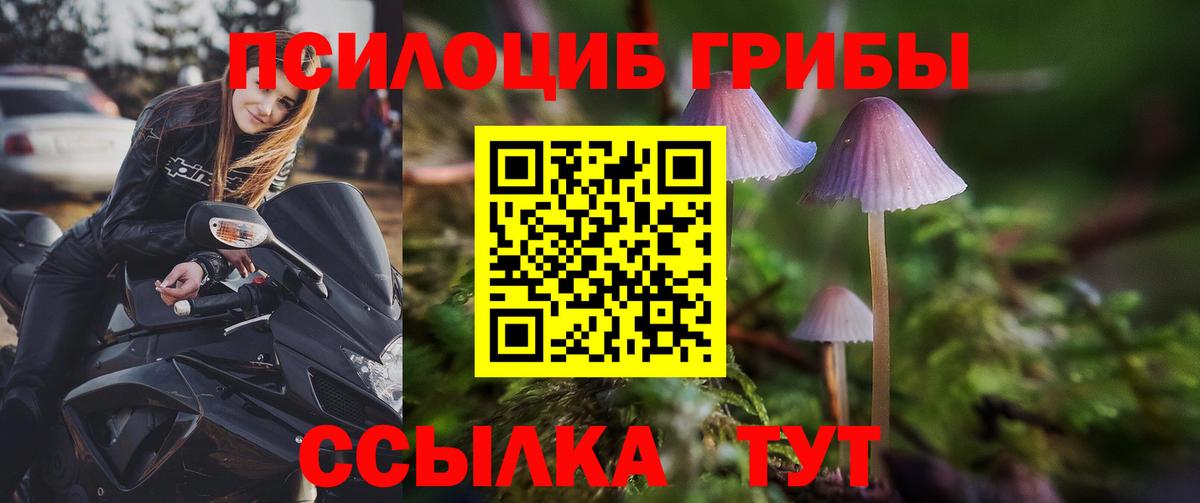 Псилоцибиновые грибы мицелий Магнитогорск